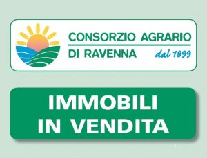 immobili in vendita