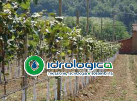 Idrologica - Irrigazione