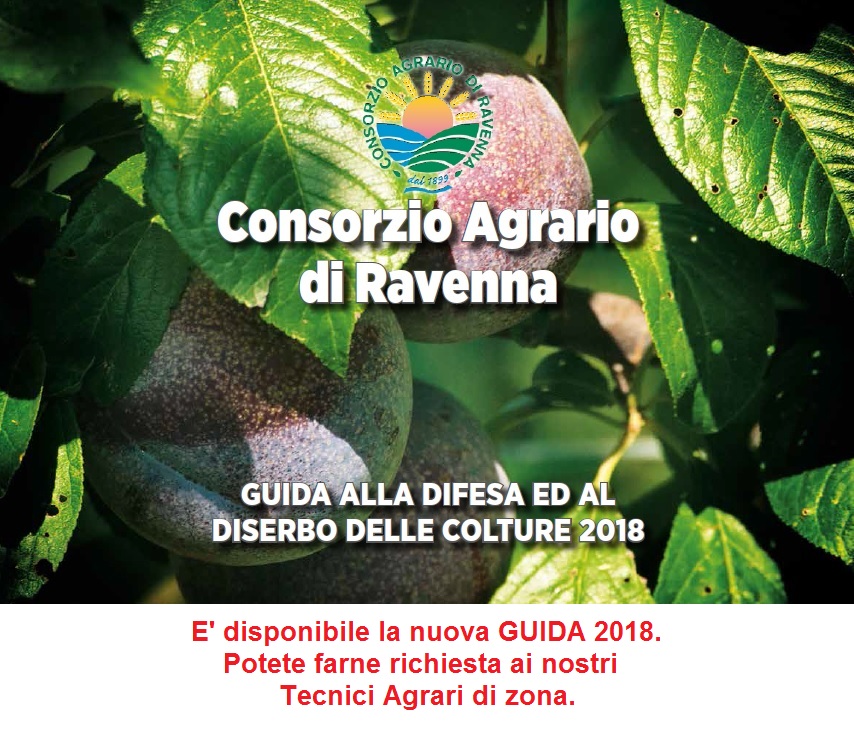ricerca e sviluppo