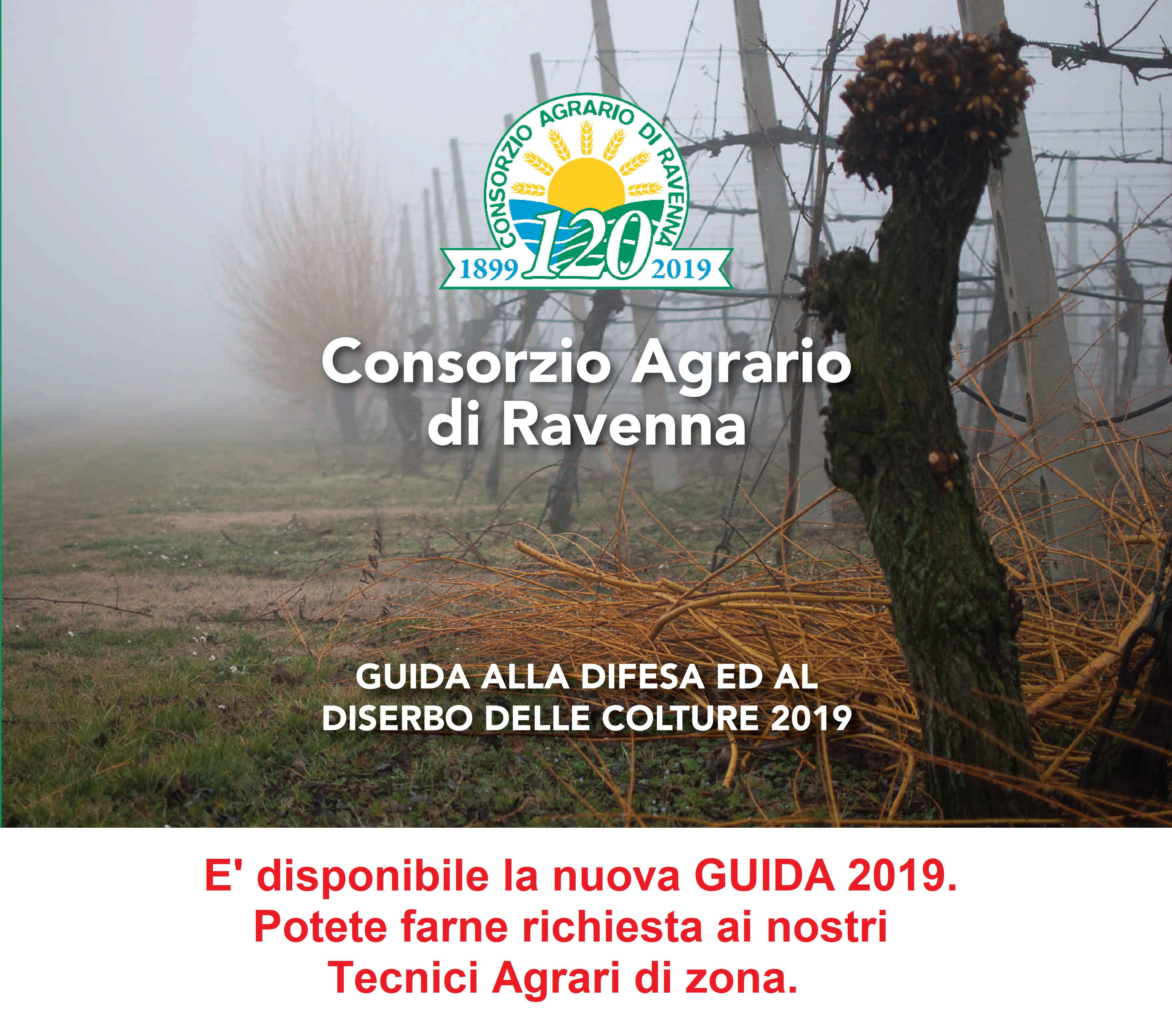 ricerca e sviluppo
