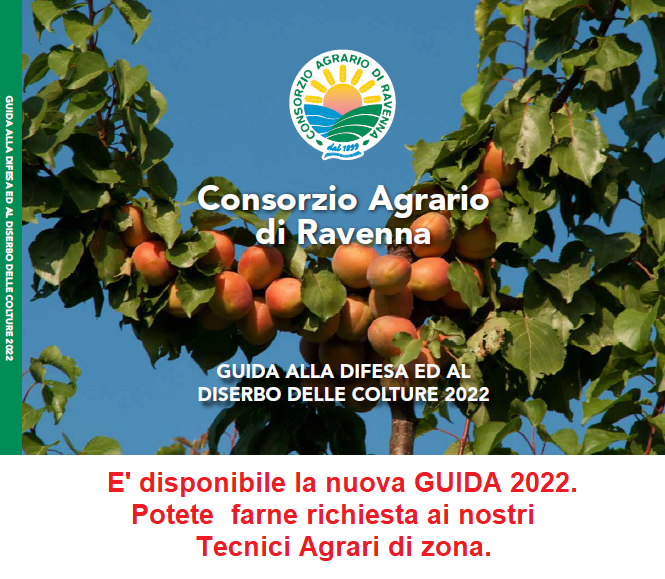 ricerca e sviluppo