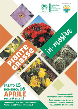 2023.03.20 Piante grasse