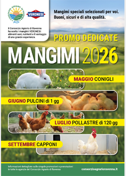 2026.02.04 Promo mangimi
