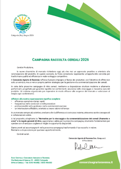 2026.06.16 Lettera grano