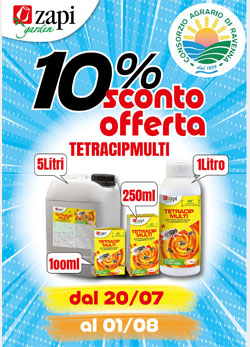 2026.07.17 promoTG